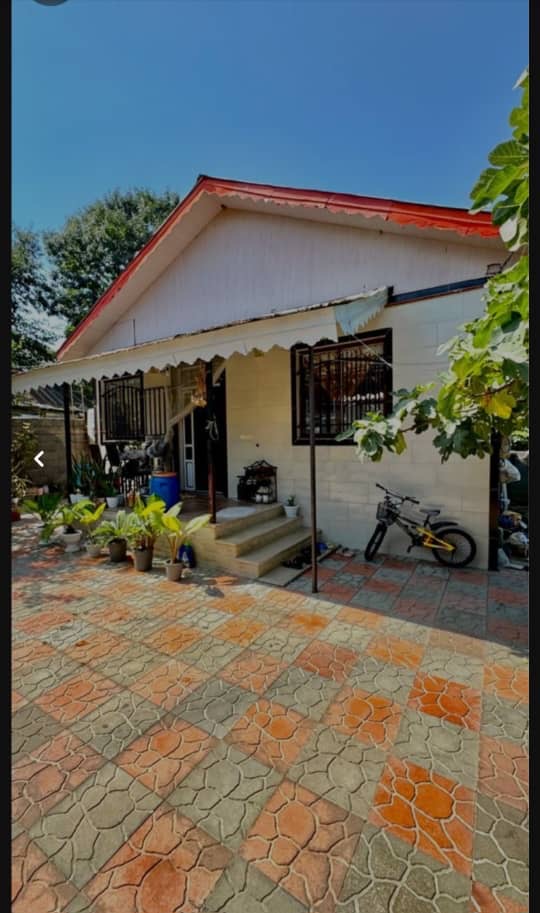 property-202-2025-09-11-213