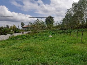 property-214-2025-07-16-367