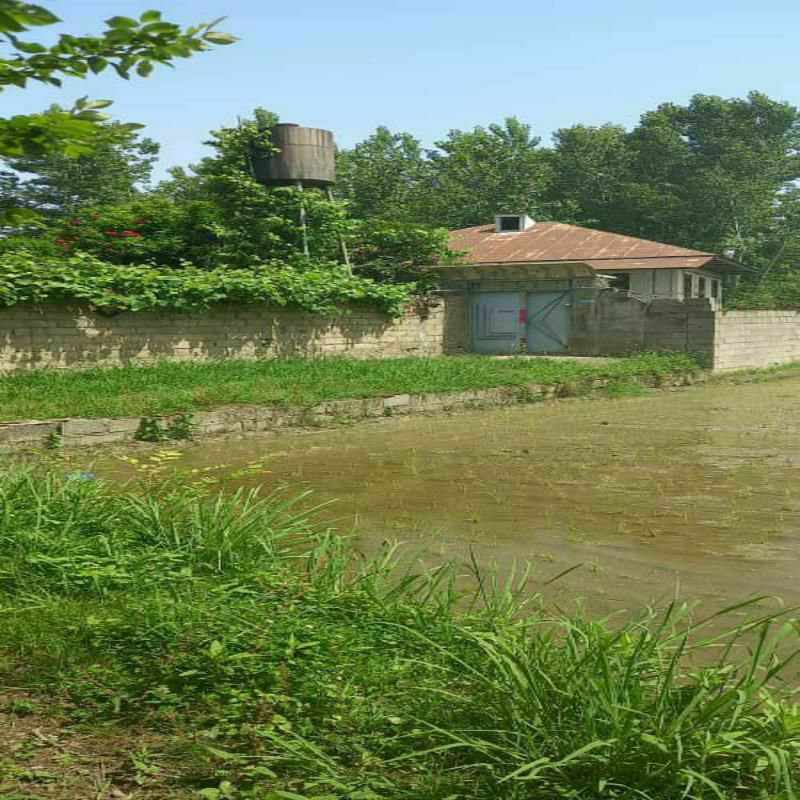 property-55-2025-05-22-744