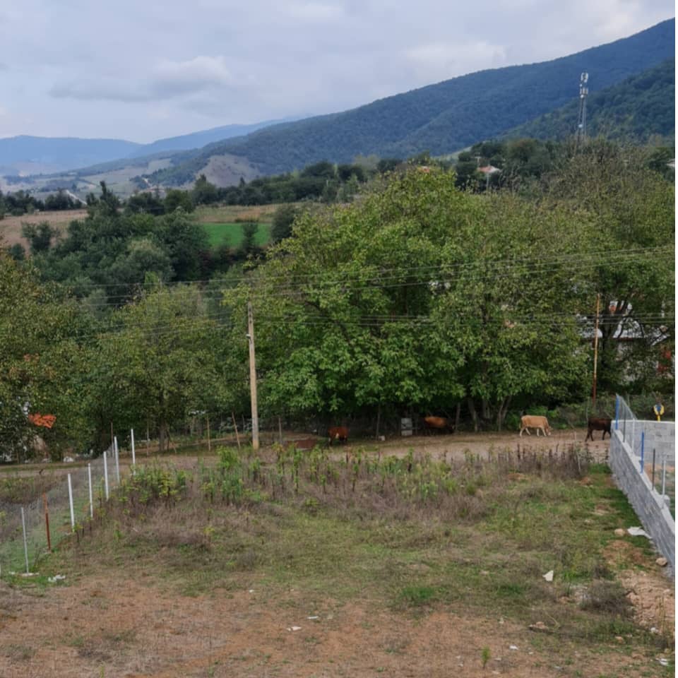 property-592-2025-09-17-470