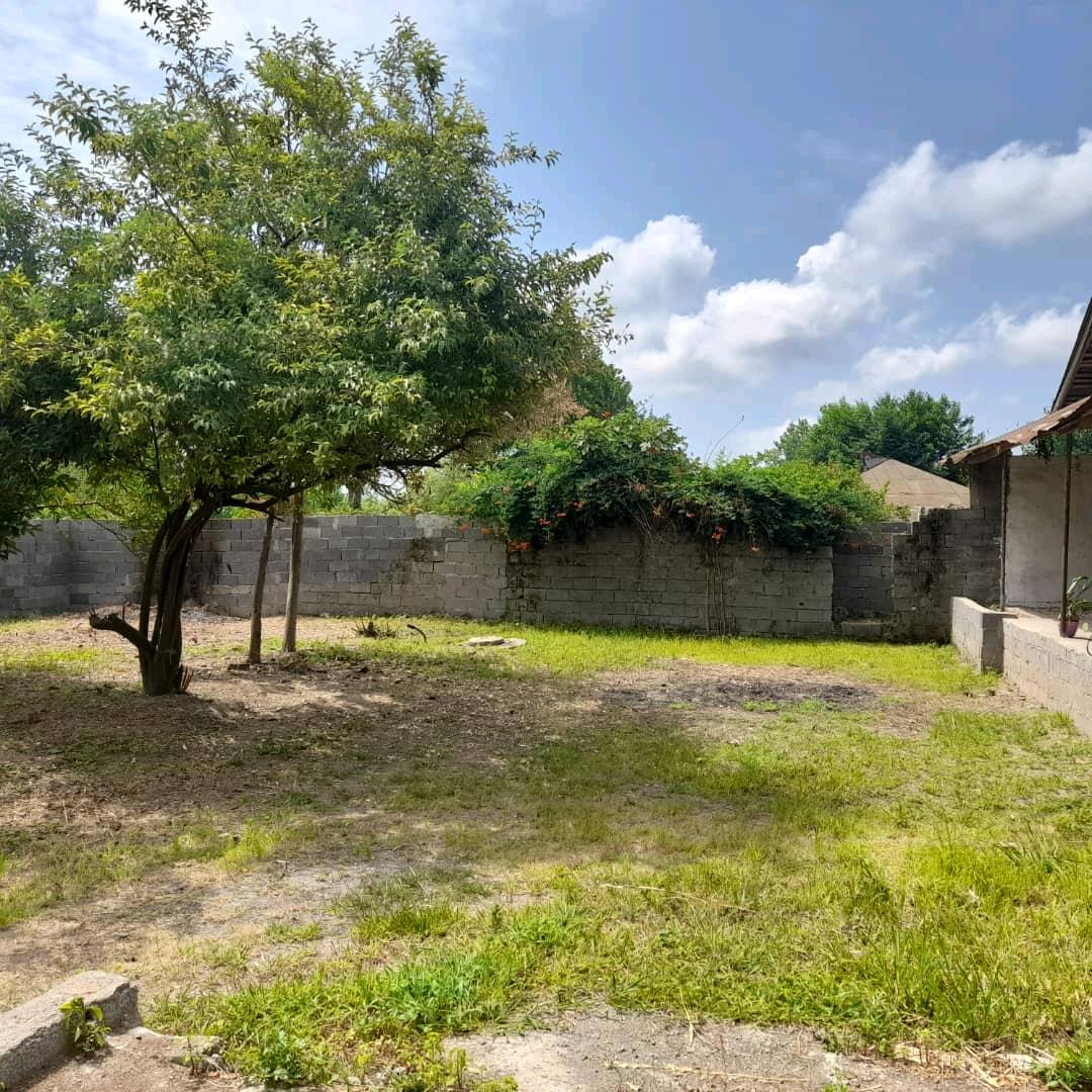 property-773-2025-08-24-540