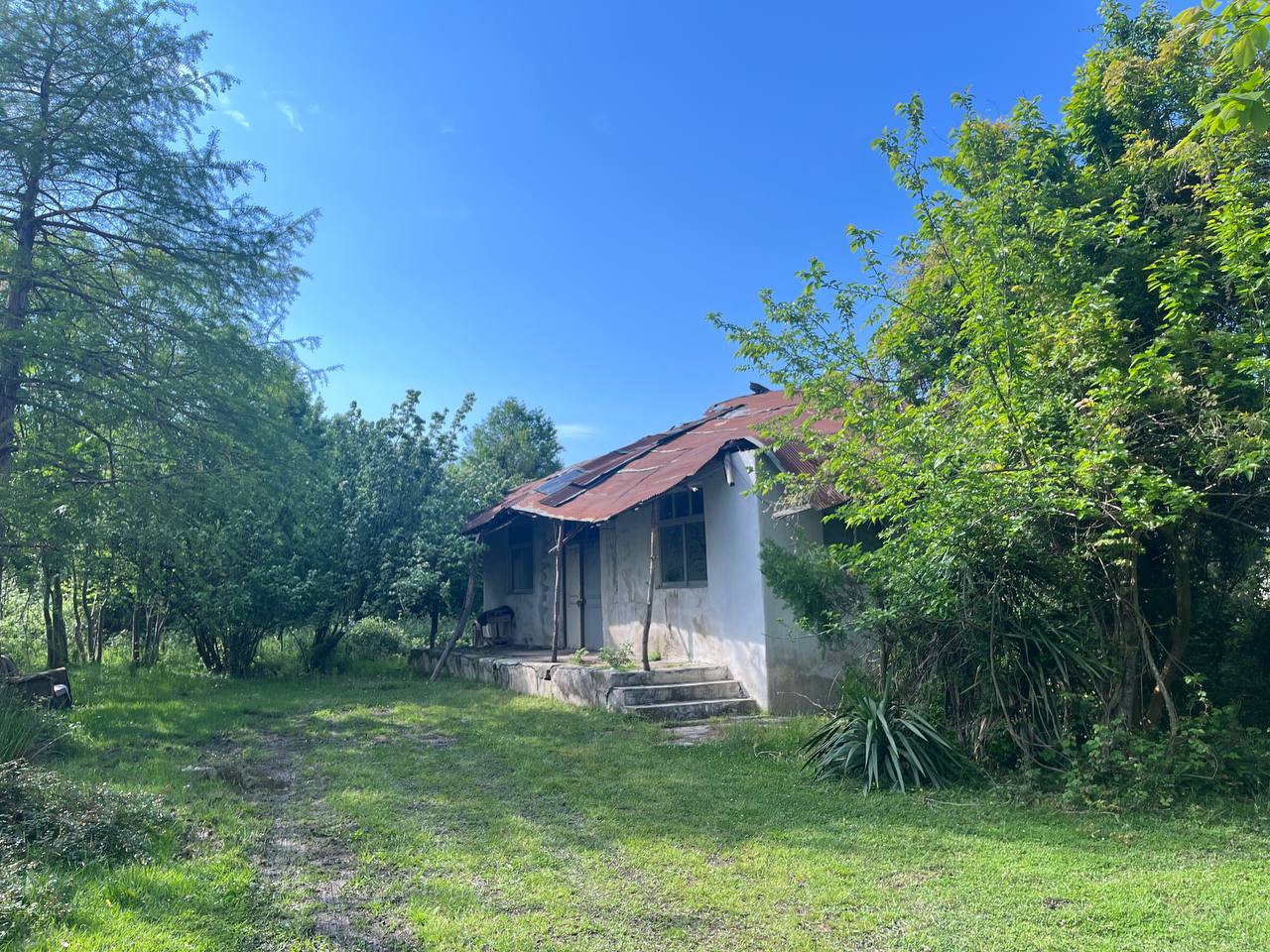 property-833-2025-06-30-858